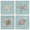 Stupell Industries Beige & Blue Sea Life 4 pc Canvas Wall Art Set Design by Julie Derice